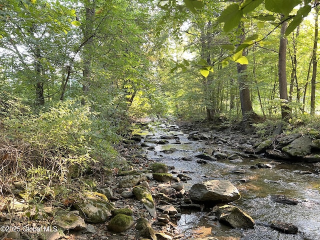 667-669 Ash Grove Rd, White Creek, NY 12816 - view of tree filled area