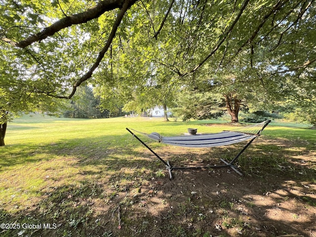 667-669 Ash Grove Rd, White Creek, NY 12816 - view of green lawn