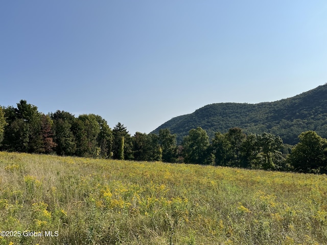 667-669 Ash Grove Rd, White Creek, NY 12816 - view of mountain background with rural landscape and a forest