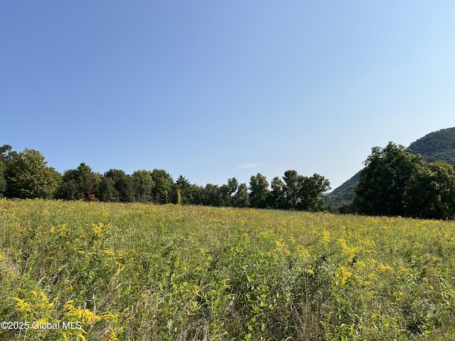 667-669 Ash Grove Rd, White Creek, NY 12816 - view of local wilderness with a mountainous background and rural landscape