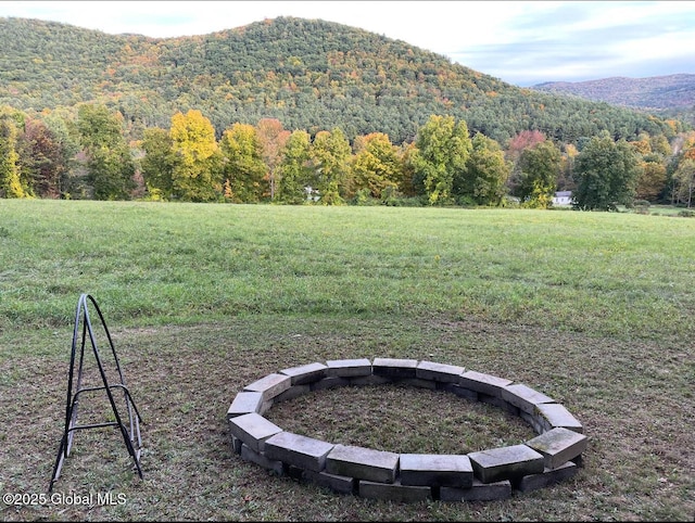 667-669 Ash Grove Rd, White Creek, NY 12816 - view of mountain backdrop with a heavily wooded area
