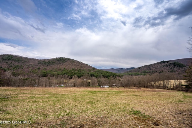 667-669 Ash Grove Rd, White Creek, NY 12816 - view of mountain backdrop with rural landscape