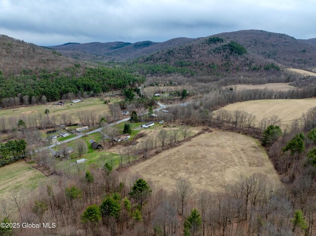 667-669 Ash Grove Rd, White Creek, NY 12816 - view of mountain background featuring rural landscape