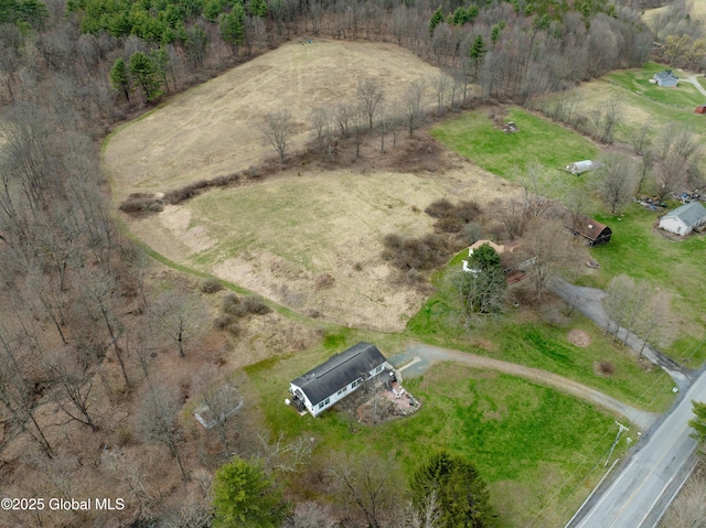 667-669 Ash Grove Rd, White Creek, NY 12816 - aerial overview of property's location featuring rural landscape