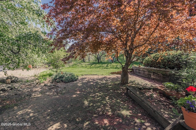 7 Western Ave, Charlton, NY 12019 - view of green lawn