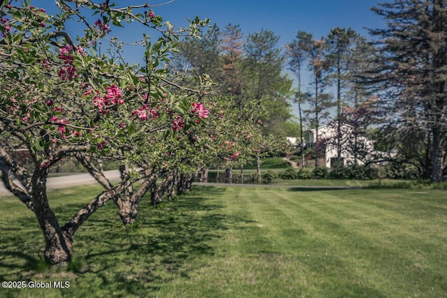 7 Western Ave, Charlton, NY 12019 - view of green lawn