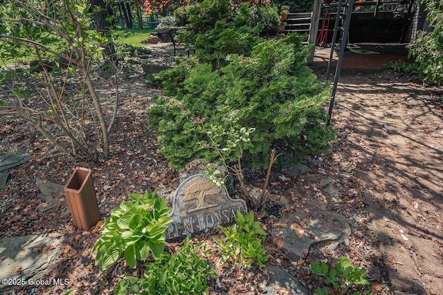 7 Western Ave, Charlton, NY 12019 - view of yard