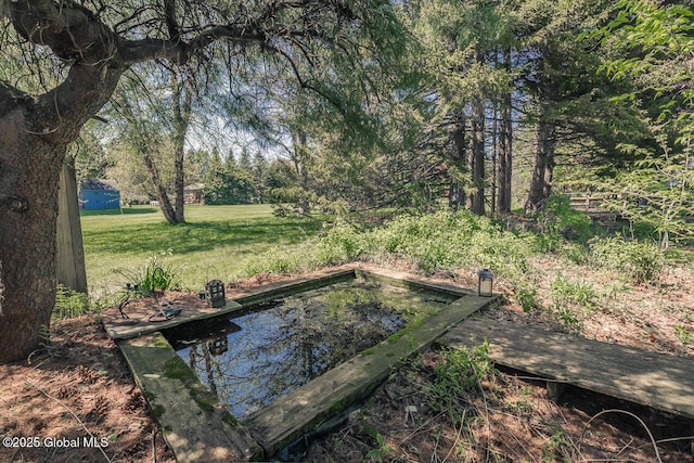 7 Western Ave, Charlton, NY 12019 - view of grassy yard