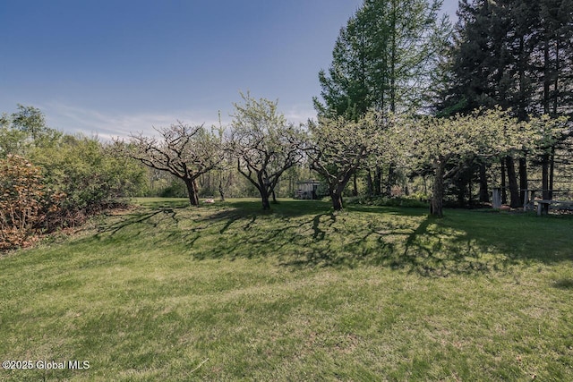 7 Western Ave, Charlton, NY 12019 - view of green lawn