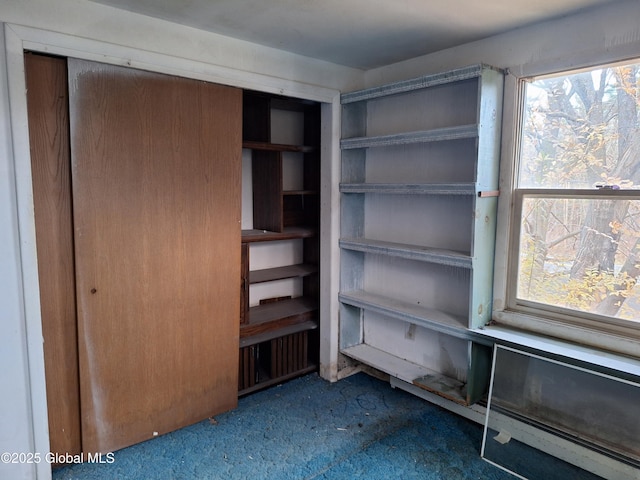2459 Delaware Tpke, New Scotland, NY 12186 - view of closet