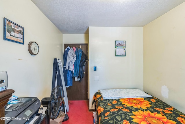 27 Columbia St, Hudson, NY 12534 - carpeted bedroom with a textured ceiling