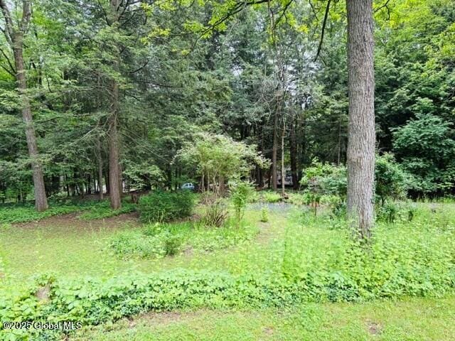 8 Lee Ave, Rexford, NY 12148 - view of woods