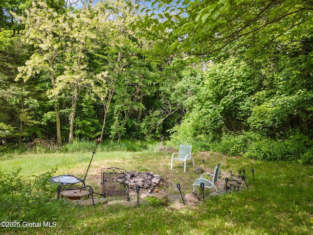 2 Pheasant Ln, East Greenbush, NY 12061 - photo 35