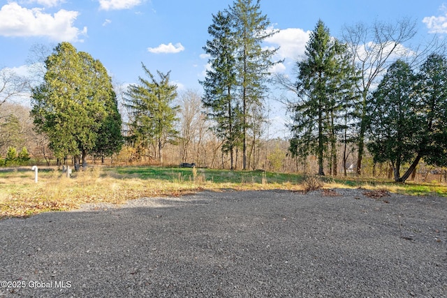 658 Saratoga Rd, Glenville, NY 12302 - view of road