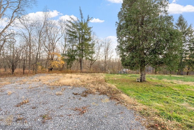 658 Saratoga Rd, Glenville, NY 12302 - view of road