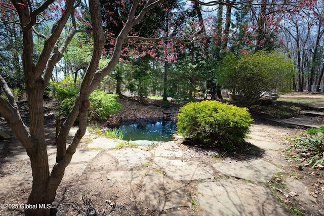 178 Clamsteam Rd, Halfmoon, NY 12065 - photo 7