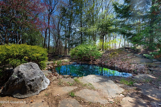 178 Clamsteam Rd, Halfmoon, NY 12065 - photo 8