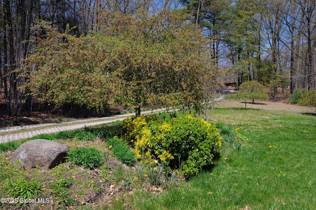 178 Clamsteam Rd, Halfmoon, NY 12065 - photo 21