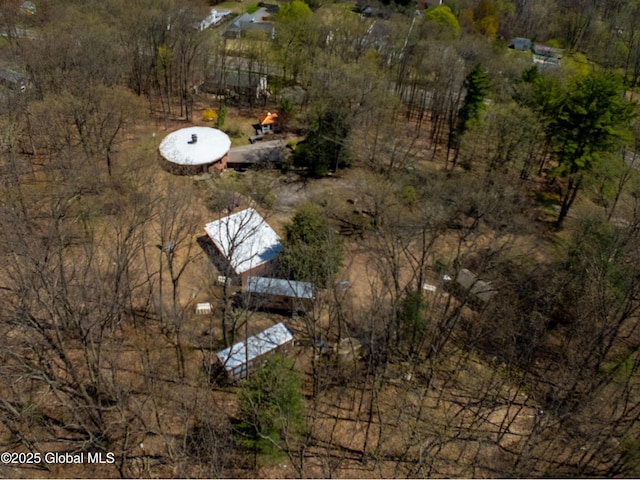 178 Clamsteam Rd, Halfmoon, NY 12065 - photo 48
