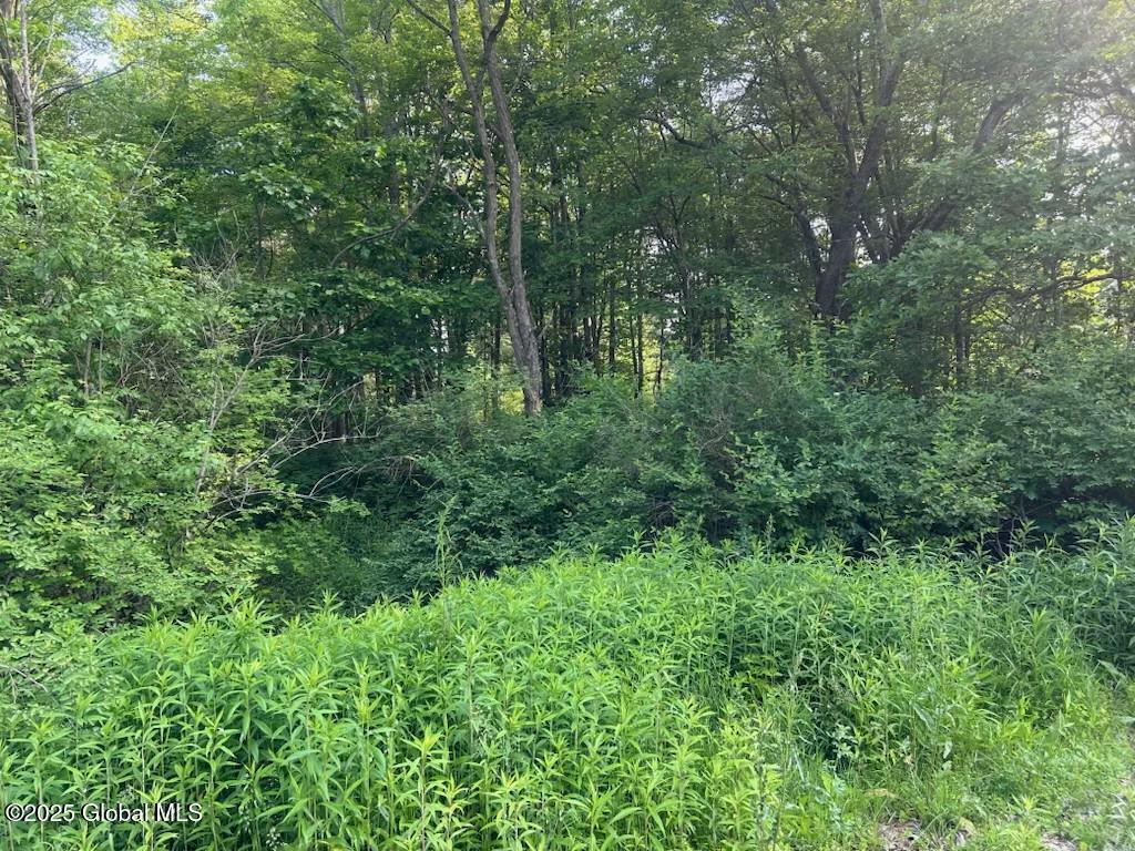 8 Collamer Rd, Ballston Spa, NY 12020 - photo 1