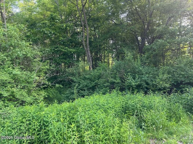8 Collamer Rd, Ballston Spa, NY 12020 - photo 1
