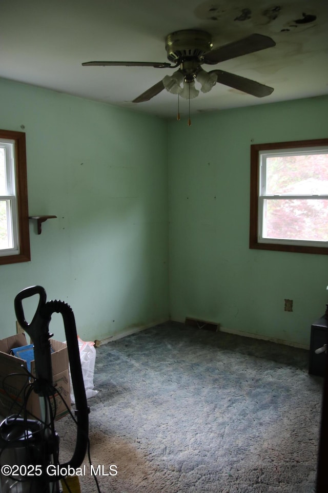 58 Fisler Ave, Colonie, NY 12304 - spare room featuring plenty of natural light, ceiling fan, and carpet flooring
