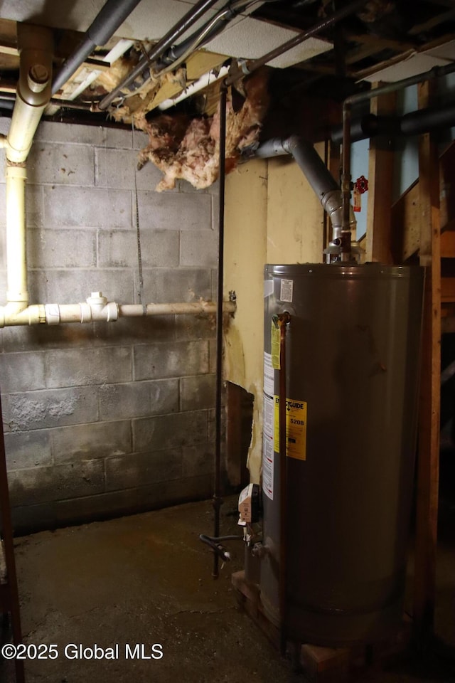 58 Fisler Ave, Colonie, NY 12304 - unfinished below grade area featuring gas water heater