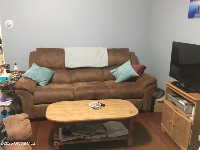 3810 Main St, Warrensburg, NY 12885 - living room featuring wood finished floors