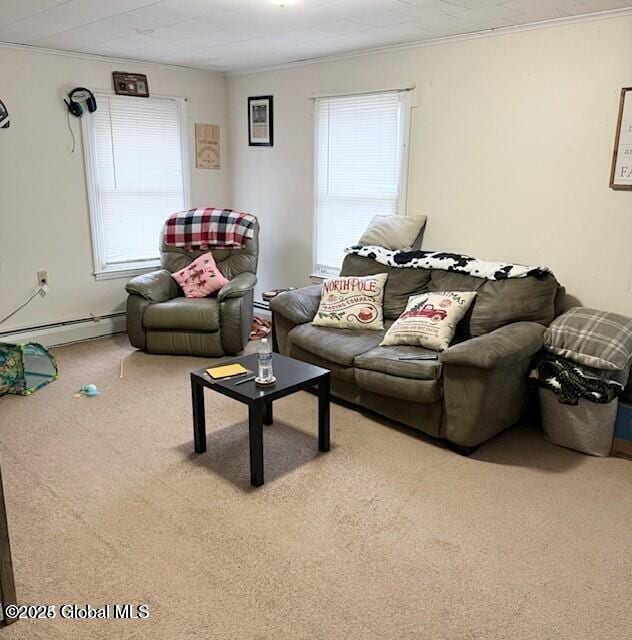 3810 Main St, Warrensburg, NY 12885 - living room with carpet, plenty of natural light, ornamental molding, and a baseboard radiator