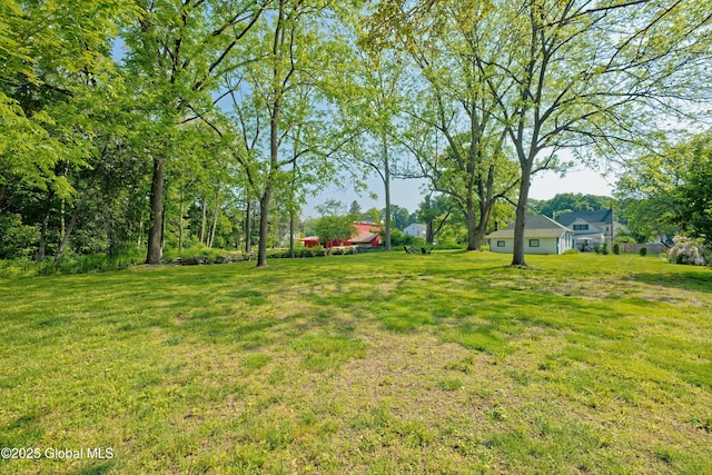 970 Main St, Clifton Park, NY 12065 - view of grassy yard