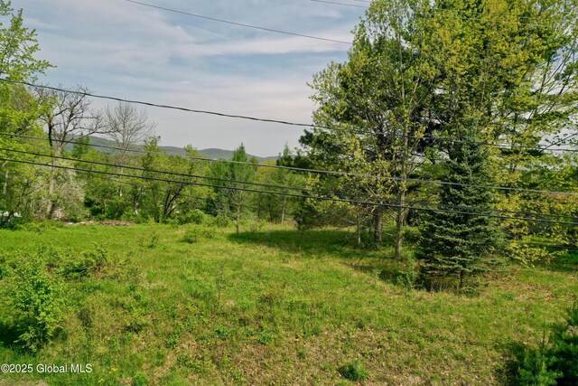 107 Lakeside Dr, Mayfield, NY 12117