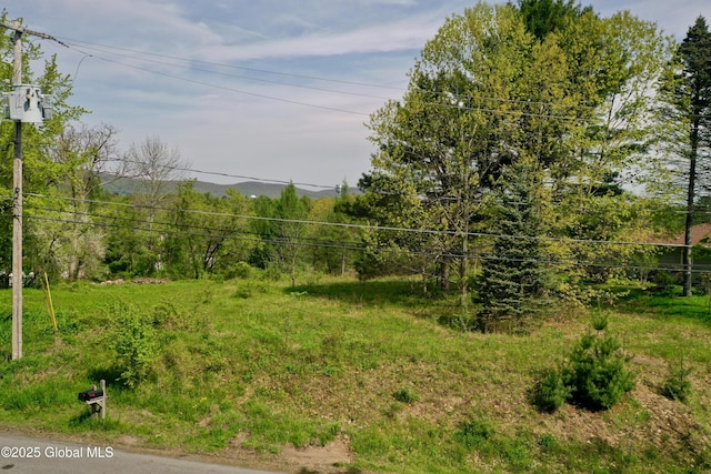 107 Lakeside Dr, Mayfield, NY 12117