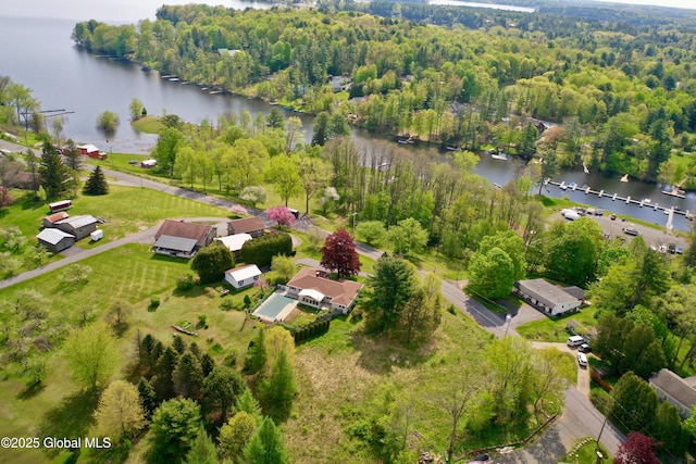 107 Lakeside Dr, Mayfield, NY 12117
