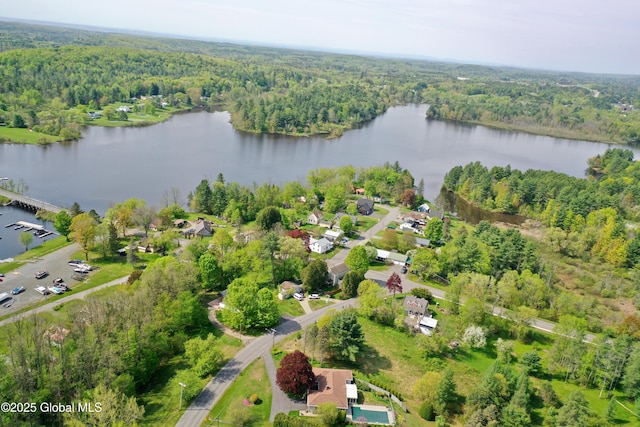 107 Lakeside Dr, Mayfield, NY 12117