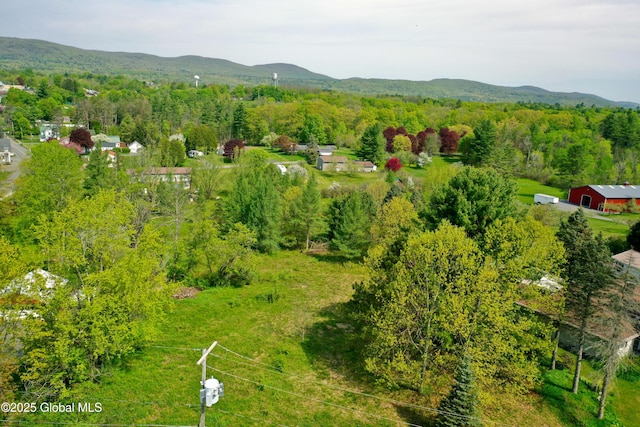 107 Lakeside Dr, Mayfield, NY 12117