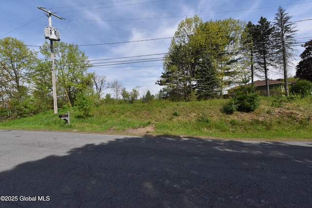 107 Lakeside Dr, Mayfield, NY 12117