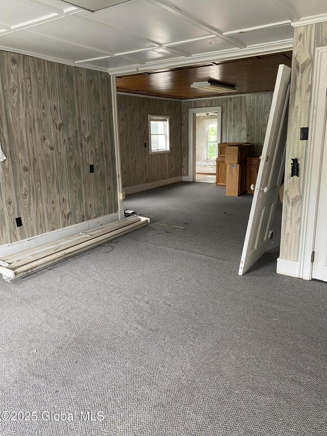 3847 Main St, Warrensburg, NY 12885 - below grade area featuring carpet floors, wooden walls, and baseboards