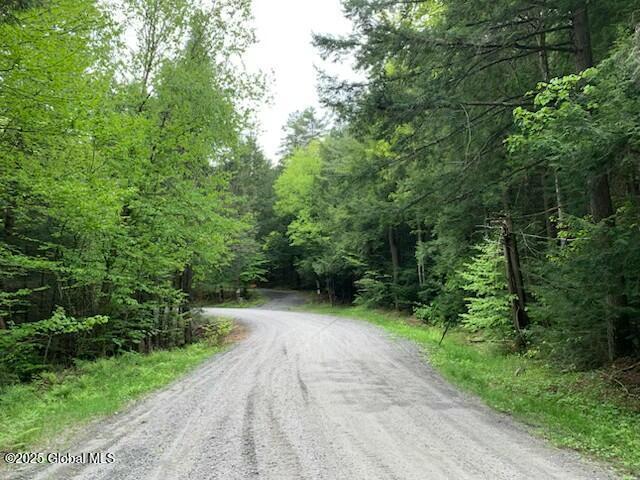 0 Trout Falls Rd, Bolton, NY 12814 - photo 1