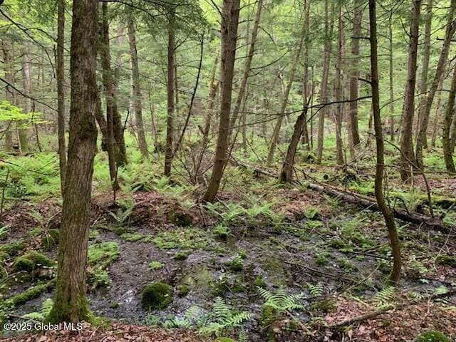 0 Trout Falls Rd, Bolton, NY 12814 - photo 2