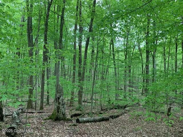 0 Trout Falls Rd, Bolton, NY 12814 - photo 3