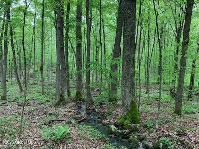 0 Trout Falls Rd, Bolton, NY 12814 - photo 4