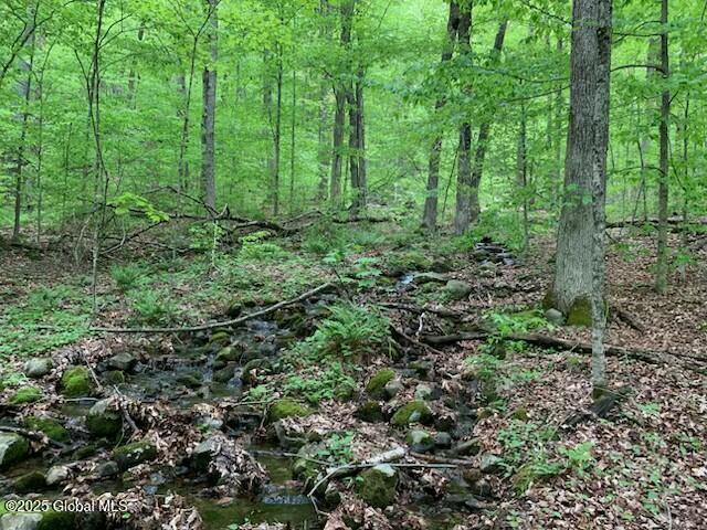 0 Trout Falls Rd, Bolton, NY 12814 - photo 5