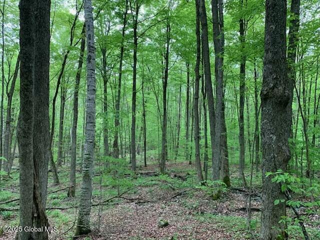 0 Trout Falls Rd, Bolton, NY 12814 - photo 6