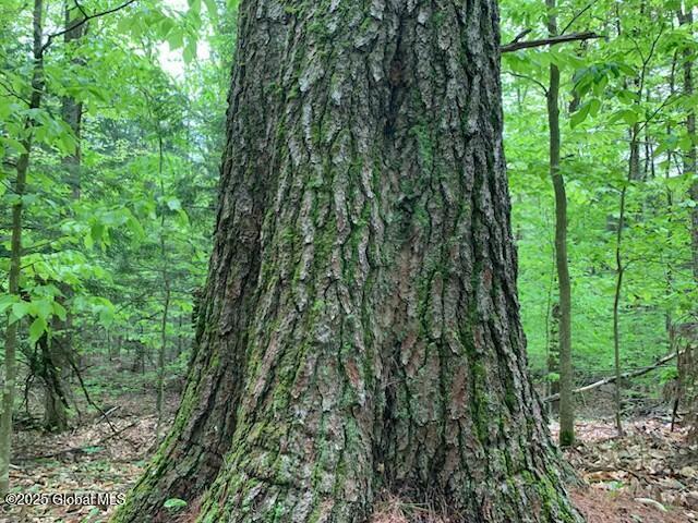 0 Trout Falls Rd, Bolton, NY 12814 - photo 7
