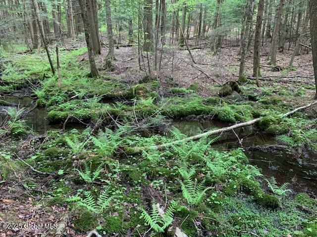 0 Trout Falls Rd, Bolton, NY 12814 - photo 8