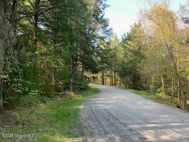 0 Trout Falls Rd, Bolton, NY 12814 - photo 10