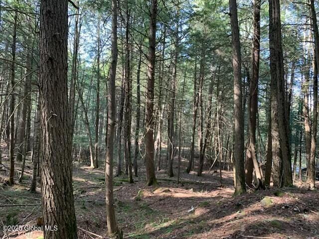 0 Trout Falls Rd, Bolton, NY 12814 - photo 11