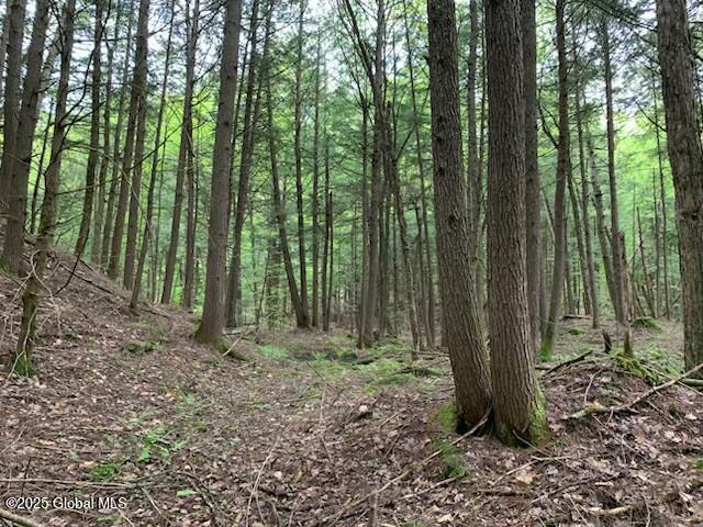 0 Trout Falls Rd, Bolton, NY 12814 - photo 12
