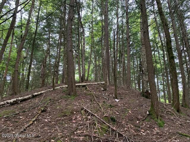 0 Trout Falls Rd, Bolton, NY 12814 - photo 13