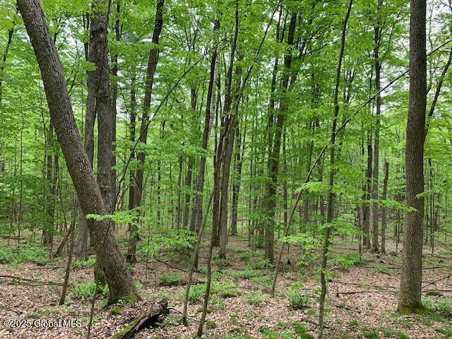 0 Trout Falls Rd, Bolton, NY 12814 - photo 16